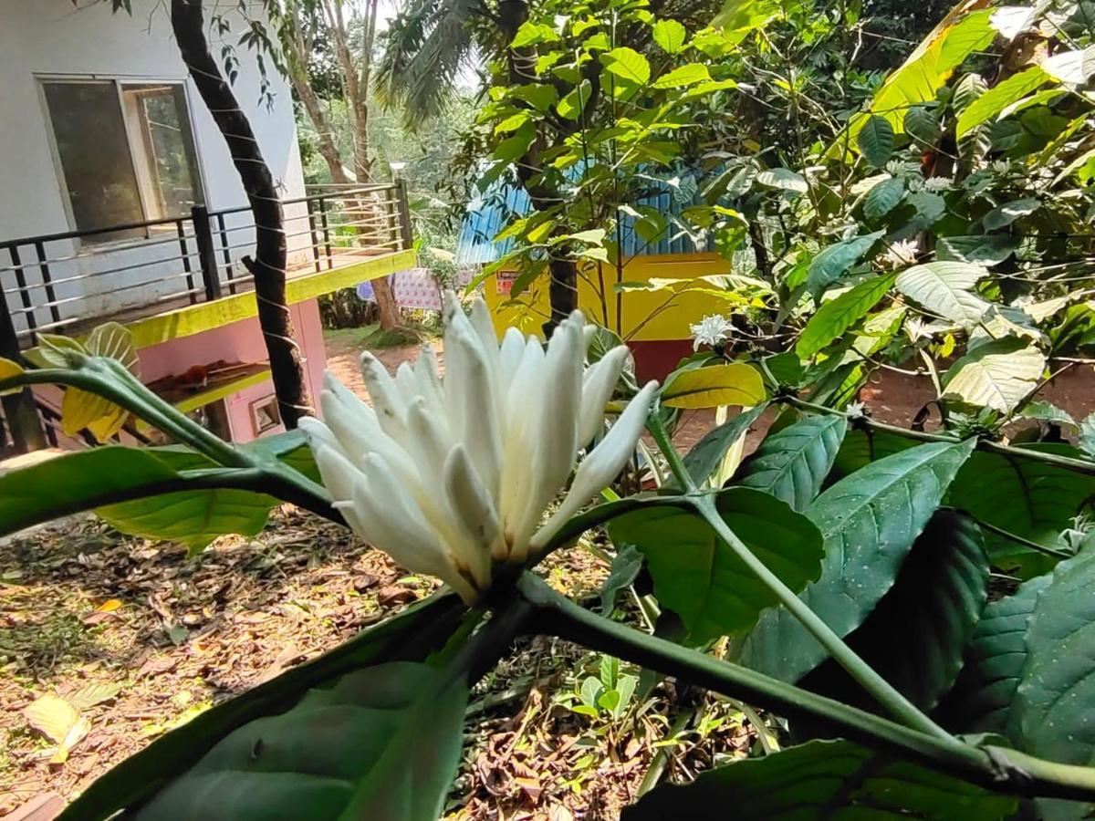 Green Land Estate Homestay 5 Rooms With Garden View Tulsa Exterior foto
