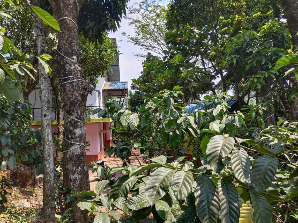 Green Land Estate Homestay 5 Rooms With Garden View Tulsa Exterior foto